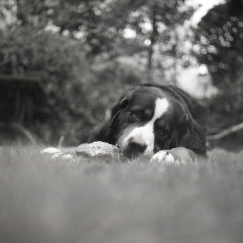 09090402.jpg