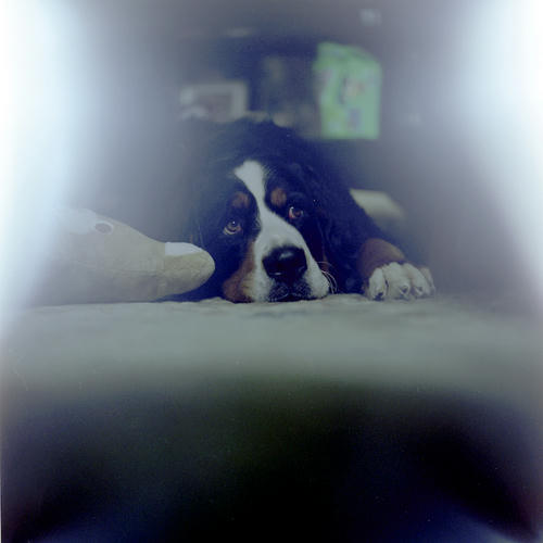 09101504.jpg