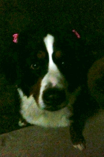 09112501.jpg