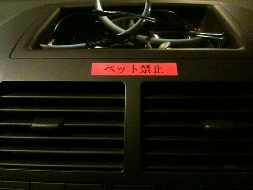 10011202.jpg