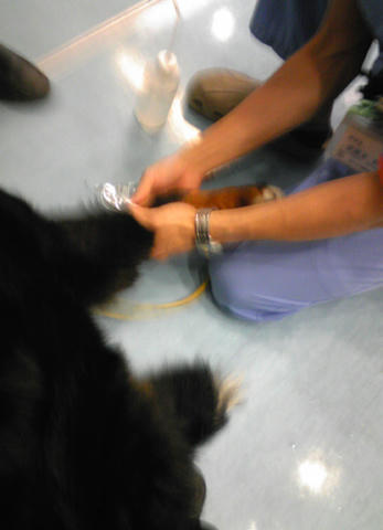 2010_0506_02.jpg