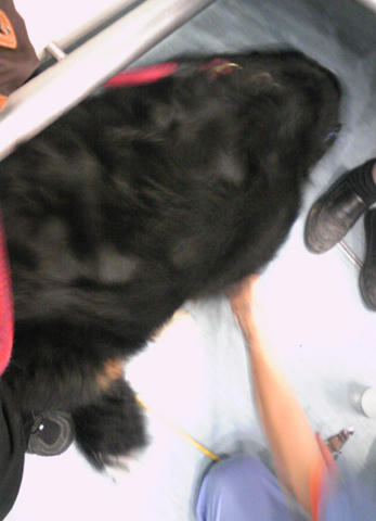 2010_0506_01.jpg