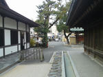 2011122006.jpg