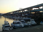 2011122802.jpg