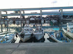 2011122804.jpg