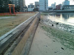 2011122805.jpg