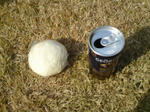 2012010721.jpg