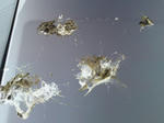2012020601.jpg