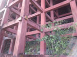2013010818.jpg