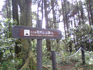 花沢山山頂