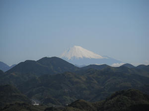 清水山に行く途中からの富士山2011/04/24