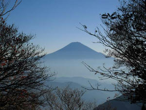 青笹山付近から富士山