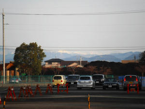 3月１日撮影