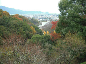 山の上から蓮花寺池