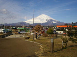IMGP6658.jpg
