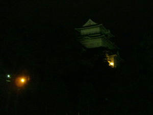 IMGP6611.jpg