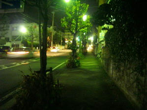 IMGP6616.jpg