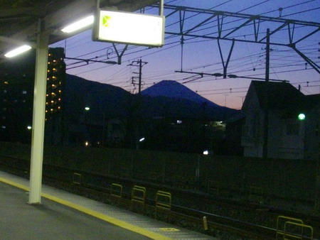 IMGP7075.jpg