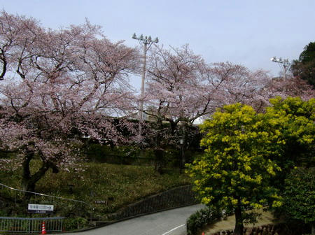 DSCF1535.jpg