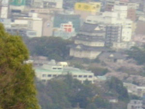 IMGP7235.jpg