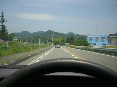 IMGP7503.jpg