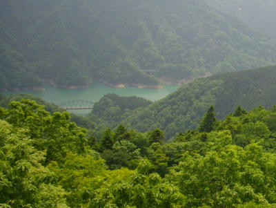IMGP7563.jpg
