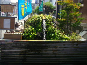 IMGP7586.jpg