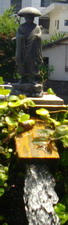IMGP7587.jpg