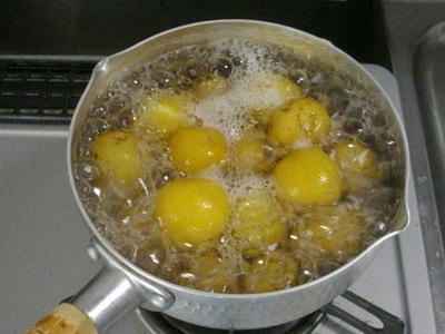 IMGP8111.jpg