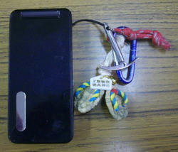 IMGP8129.jpg