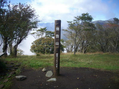 IMGP8307.jpg