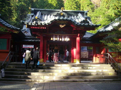 IMGP8402.jpg