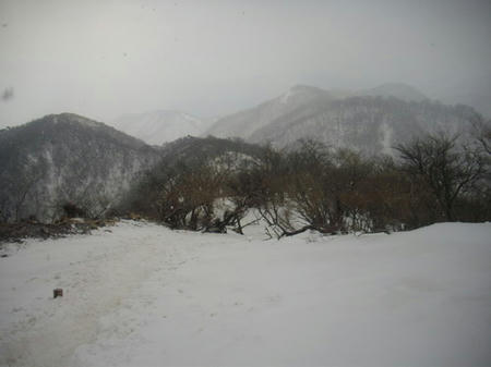IMGP8843.jpg
