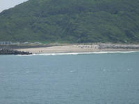 20080504-伊良湖先端