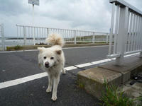 20080510-飯岡