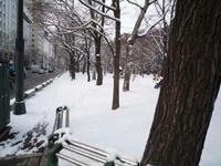 20081212-札幌