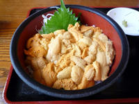 20090925-雲丹丼