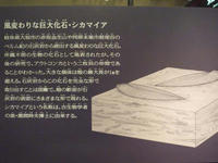 20091012-科博02