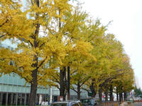 20091029-札幌
