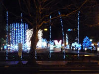 20091210-札幌