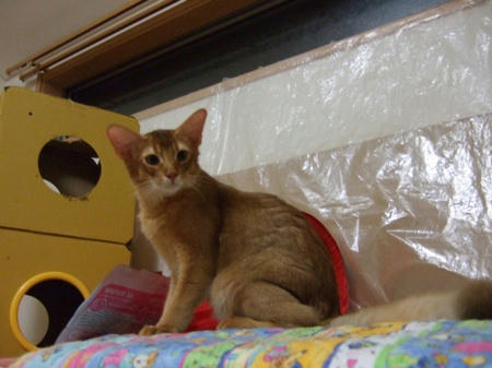 DSCF13955.jpg