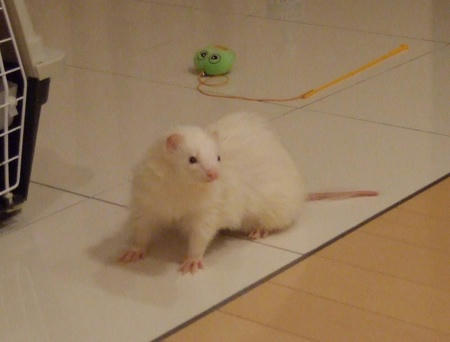 DSCF13400.jpg