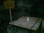 SN3F0151.jpg