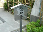 P1020173.JPG