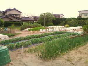 P1004487.JPG