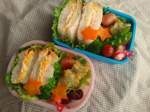 6/1☆サンドイッチ弁当