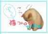 にほんブログ村 猫ブログへ