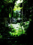 d756f0dc.jpg