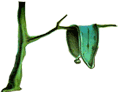 img20080712_t.gif