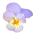 vio3.gif